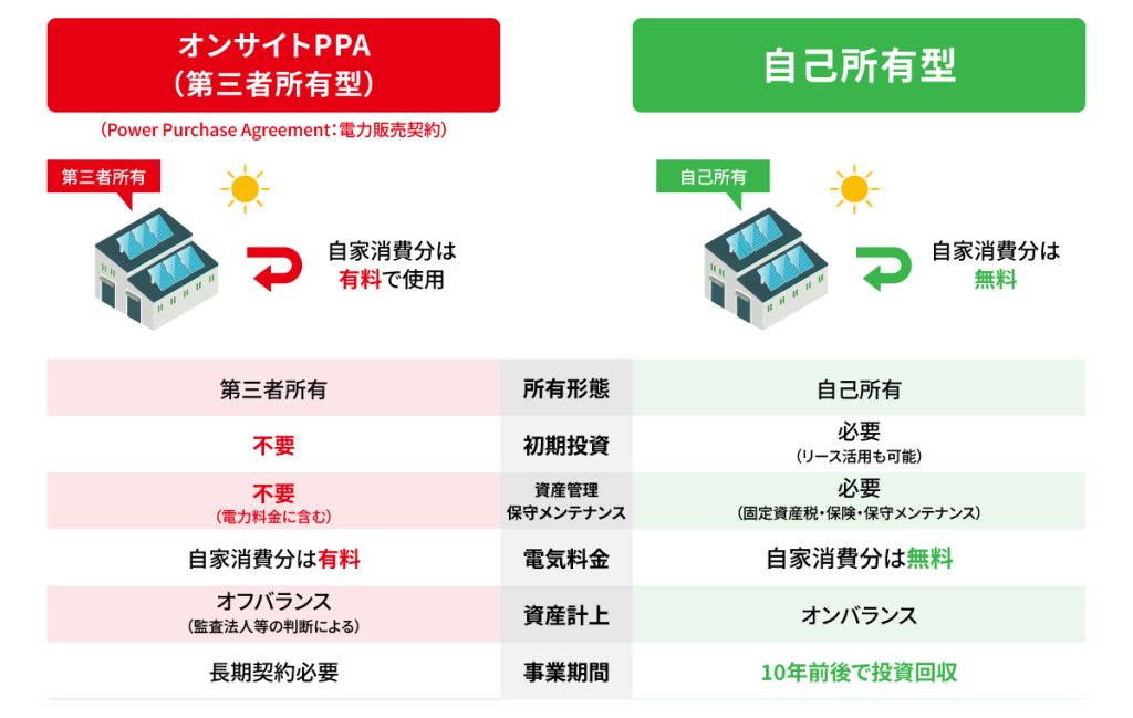 所有形態　比較